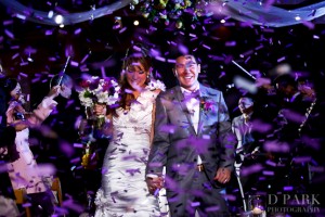Fairytale Wedding Confetti