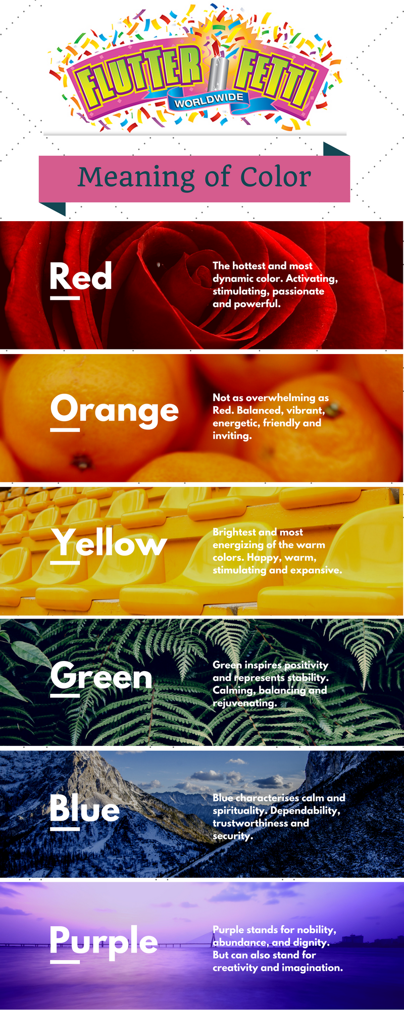 flutter-fetti-infographic