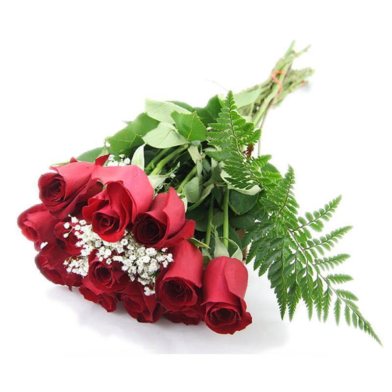 roses2-3